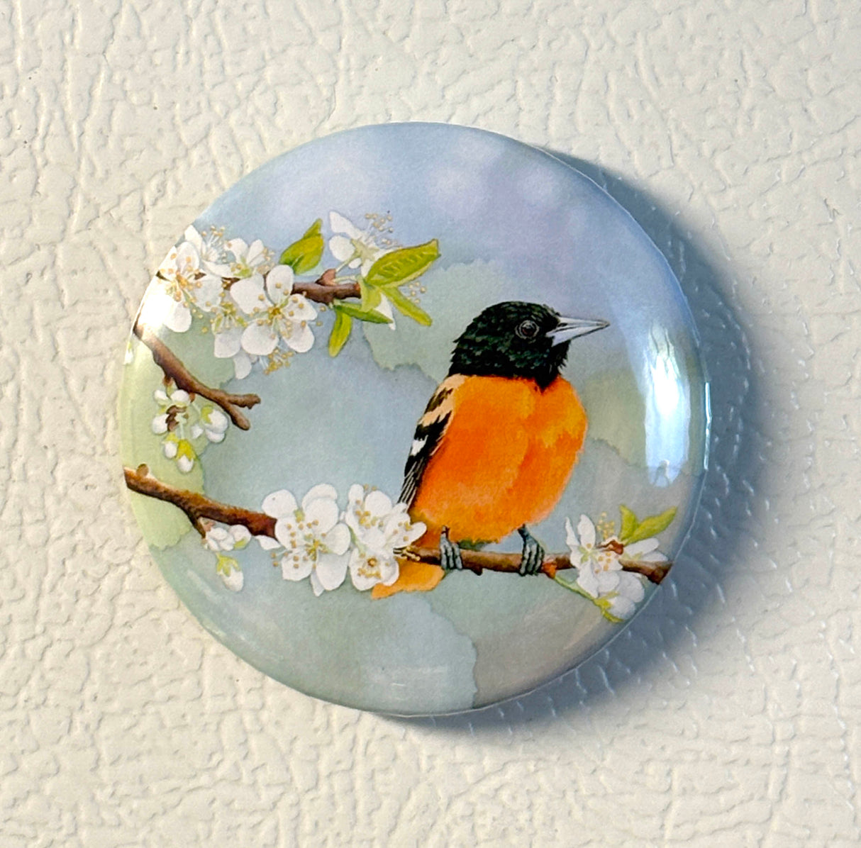 Apples and Oranges - Art Magnet