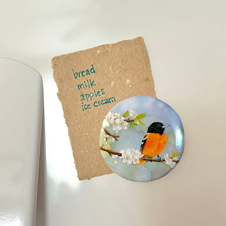 Apples and Oranges - Art Magnet