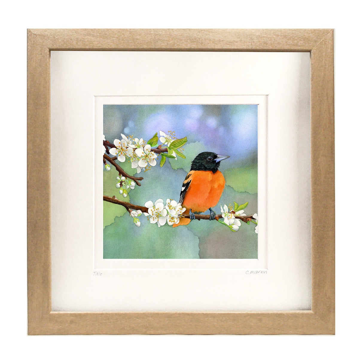 Apples and Oranges NEW 2025