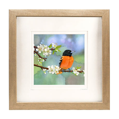 Apples and Oranges - Original Watercolour