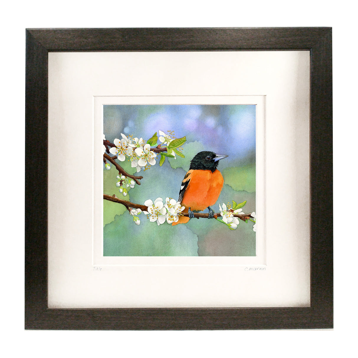 Apples and Oranges NEW 2025