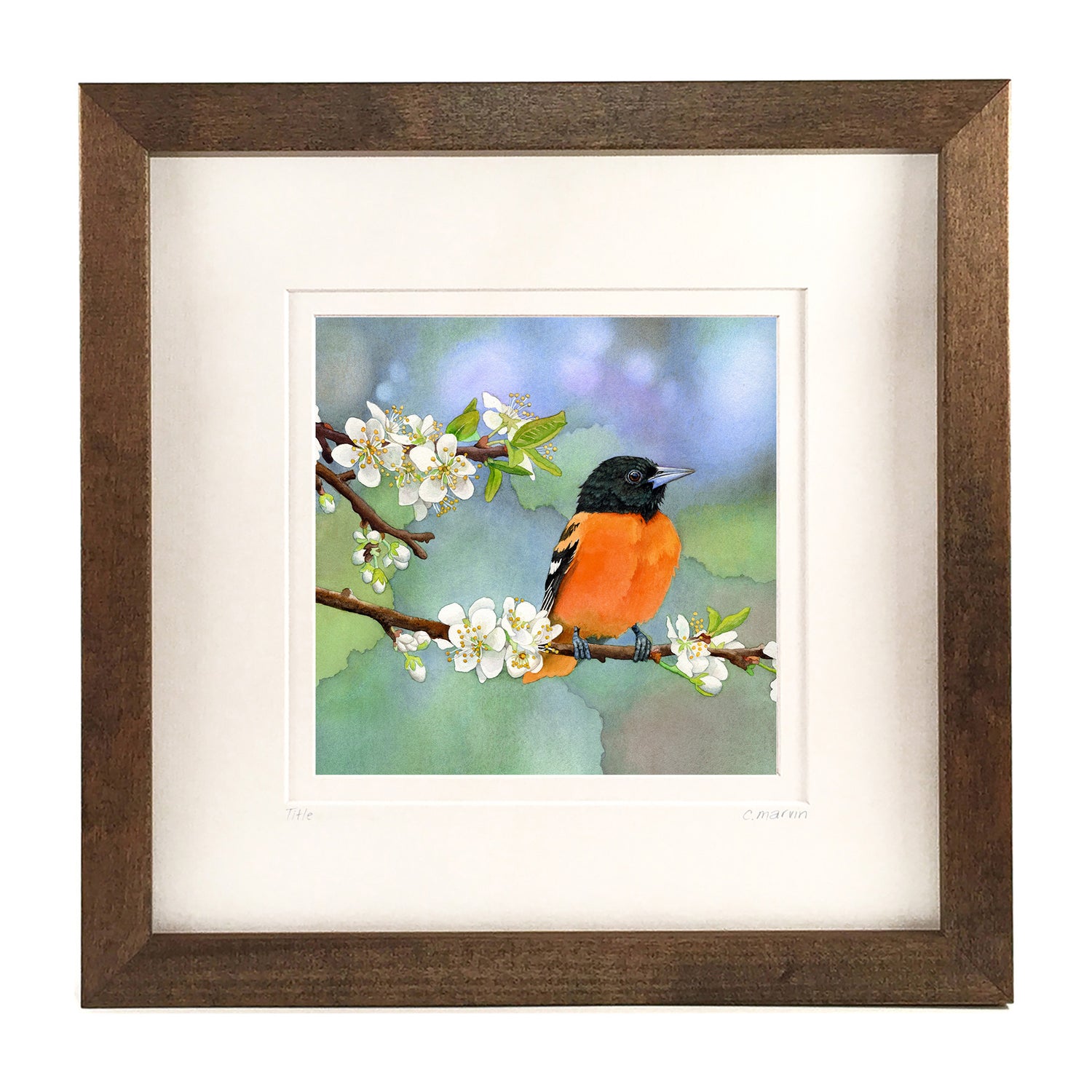 Apples and Oranges NEW 2025