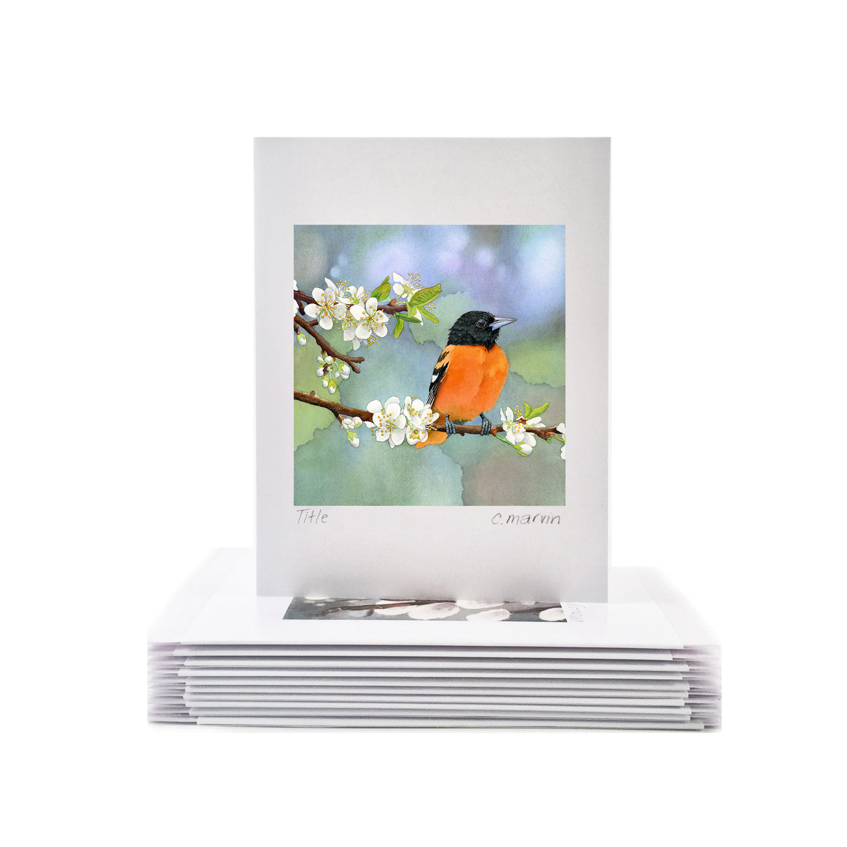 NEW! Apples and Oranges - Wholesale Art Cards