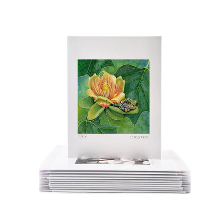 Shade of the Tulip Tree