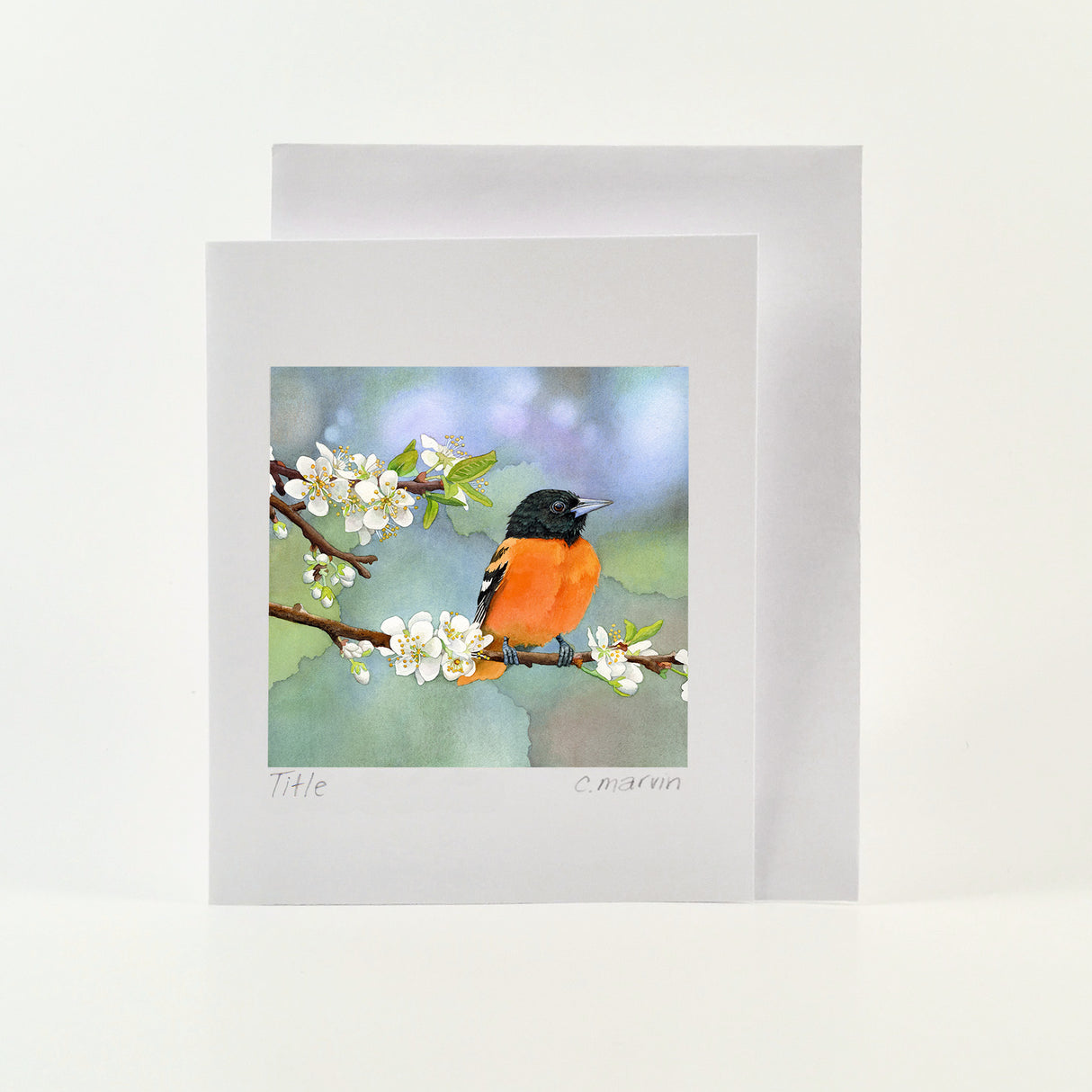 NEW! Apples and Oranges - Wholesale Art Cards