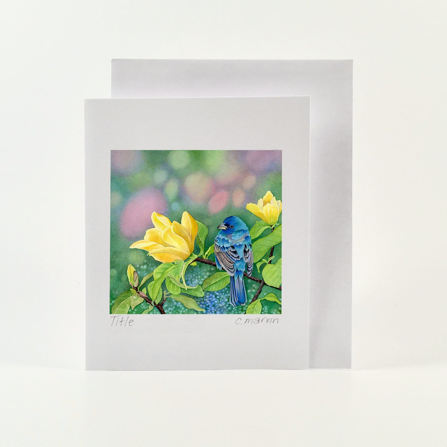 NEW! Yellow Meets Blue