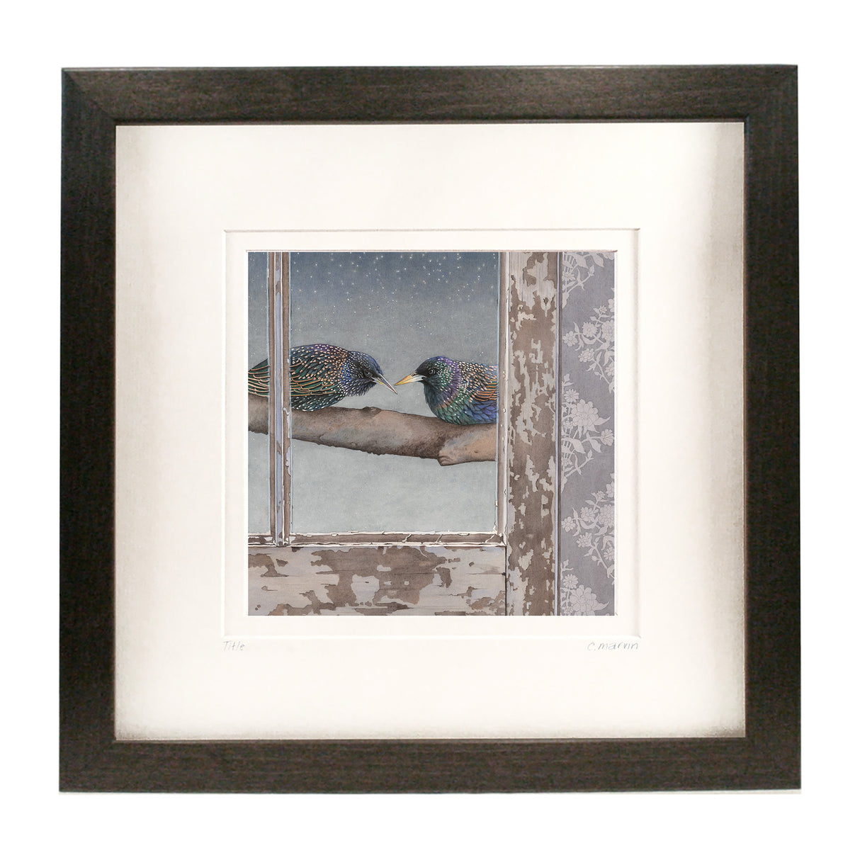 Conspiracy by Starlight