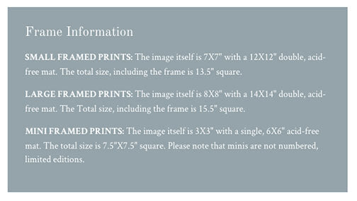 Conspiracy by Starlight