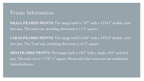 Crow Receives Instructions