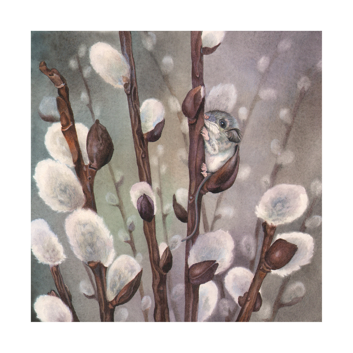 Mousy Willow - Wood Mounted Art Print
