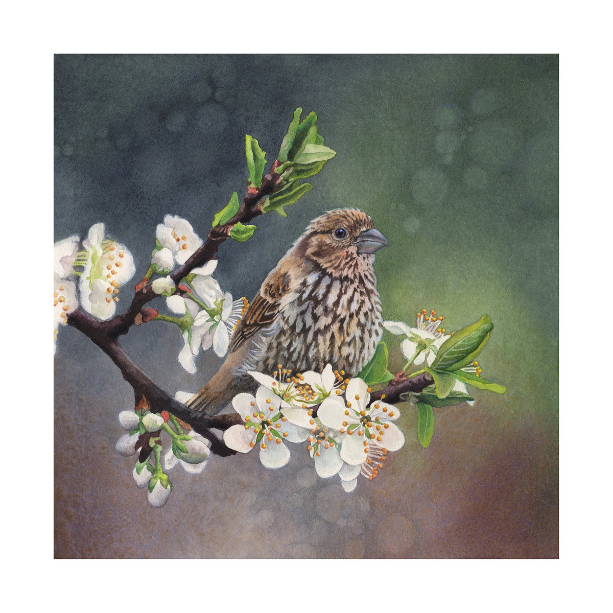 Plum Blossoms - Wood Mounted Art Print