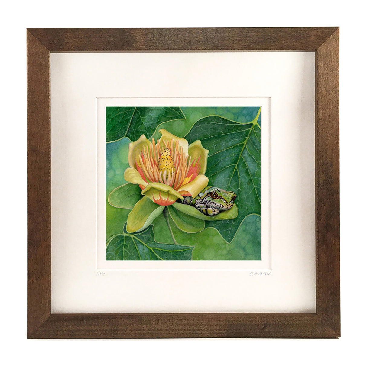 Shade of the Tulip Tree