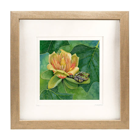 Shade of the Tulip Tree