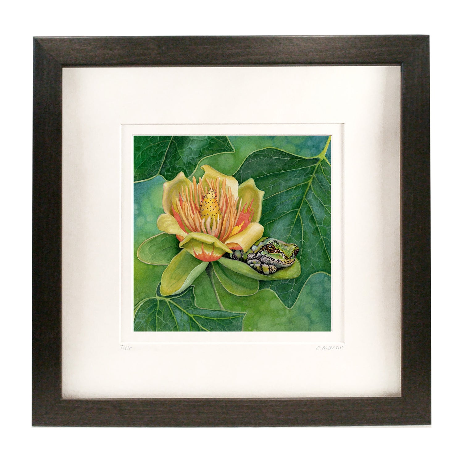 Shade of the Tulip Tree