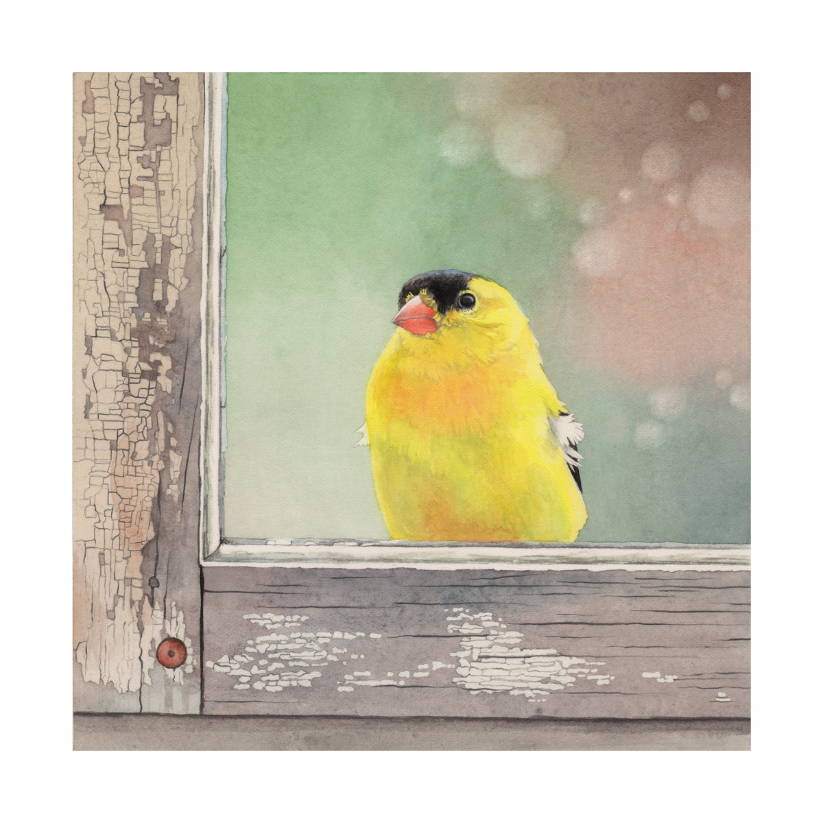 Window Finch Art Tile