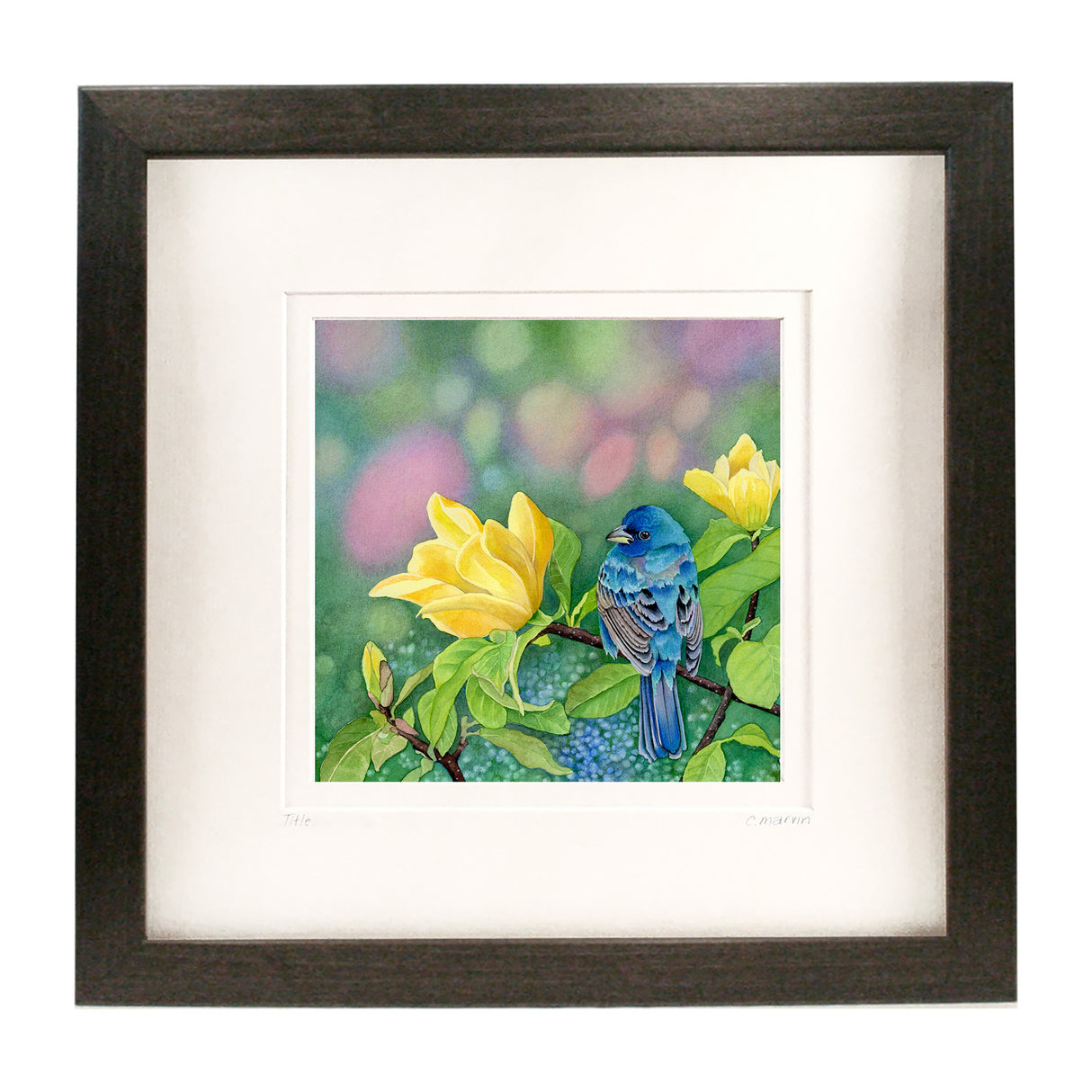 Yellow Meets Blue NEW 2025