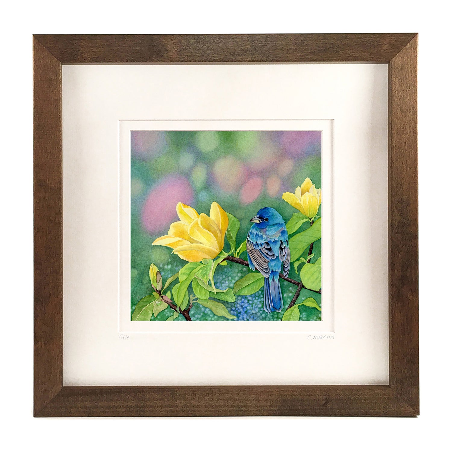 Yellow Meets Blue NEW 2025