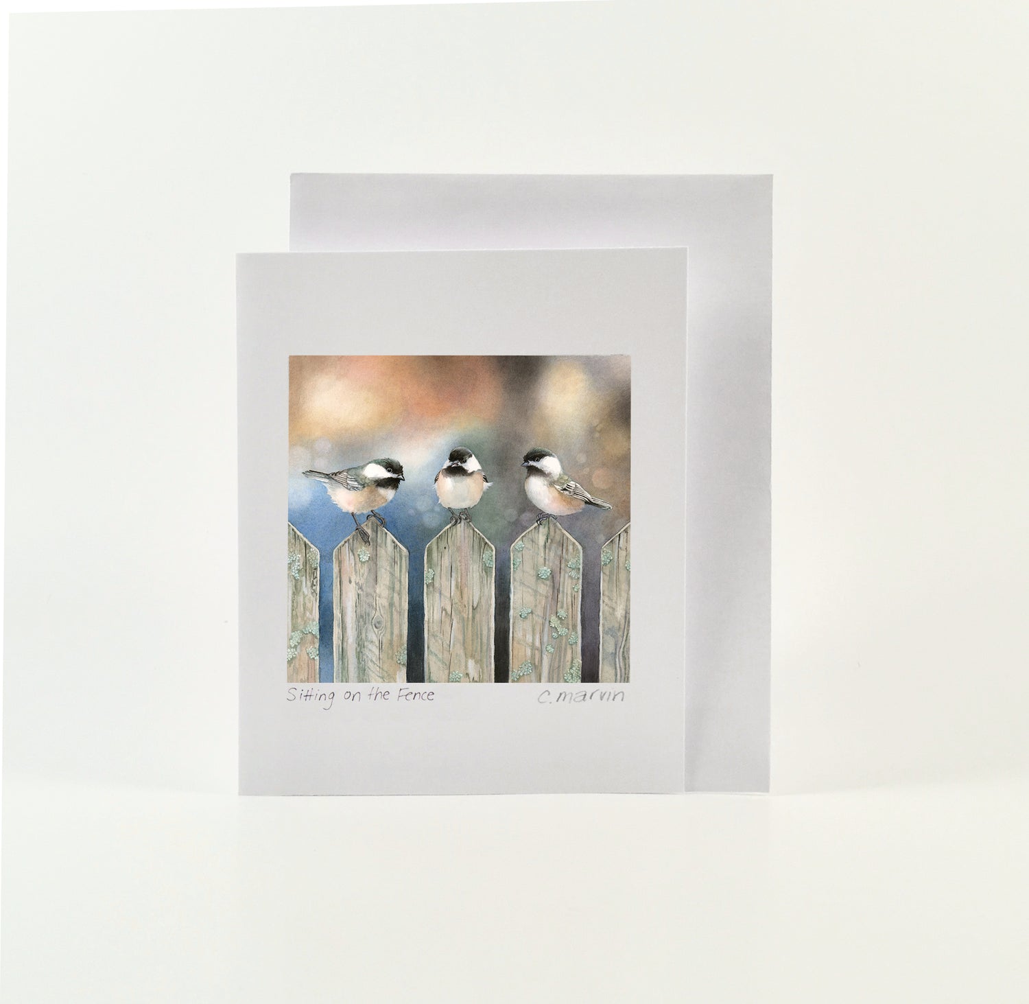 Sitting on the Fence