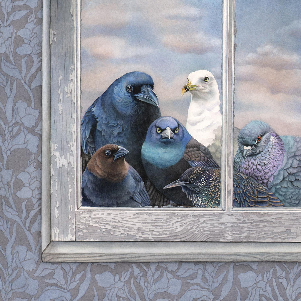 Watercolour painting of a group of misfit birds (crow, seagull, cowbird, grackle, pigeon and starling) are staring menacingly into your window
