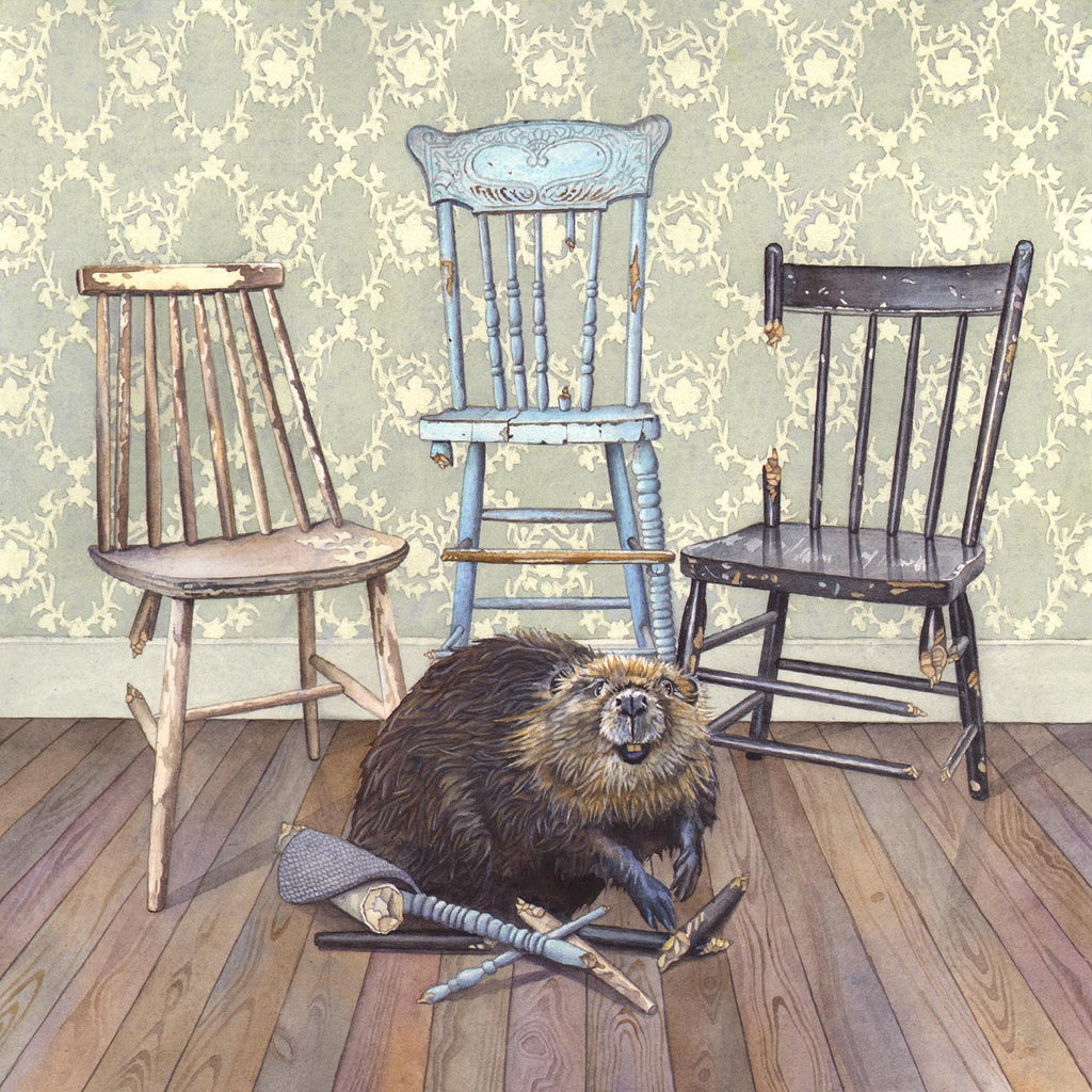 watercolour painting of a beaver chewing several chair legs that he has removed from some antique chairs in the background