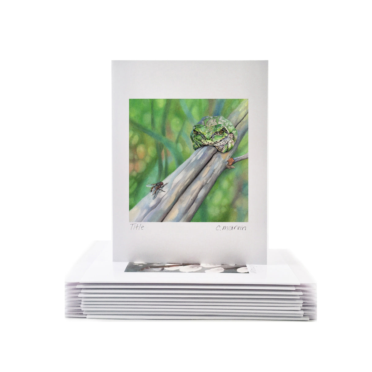 Let Sleepy Frogs Lie