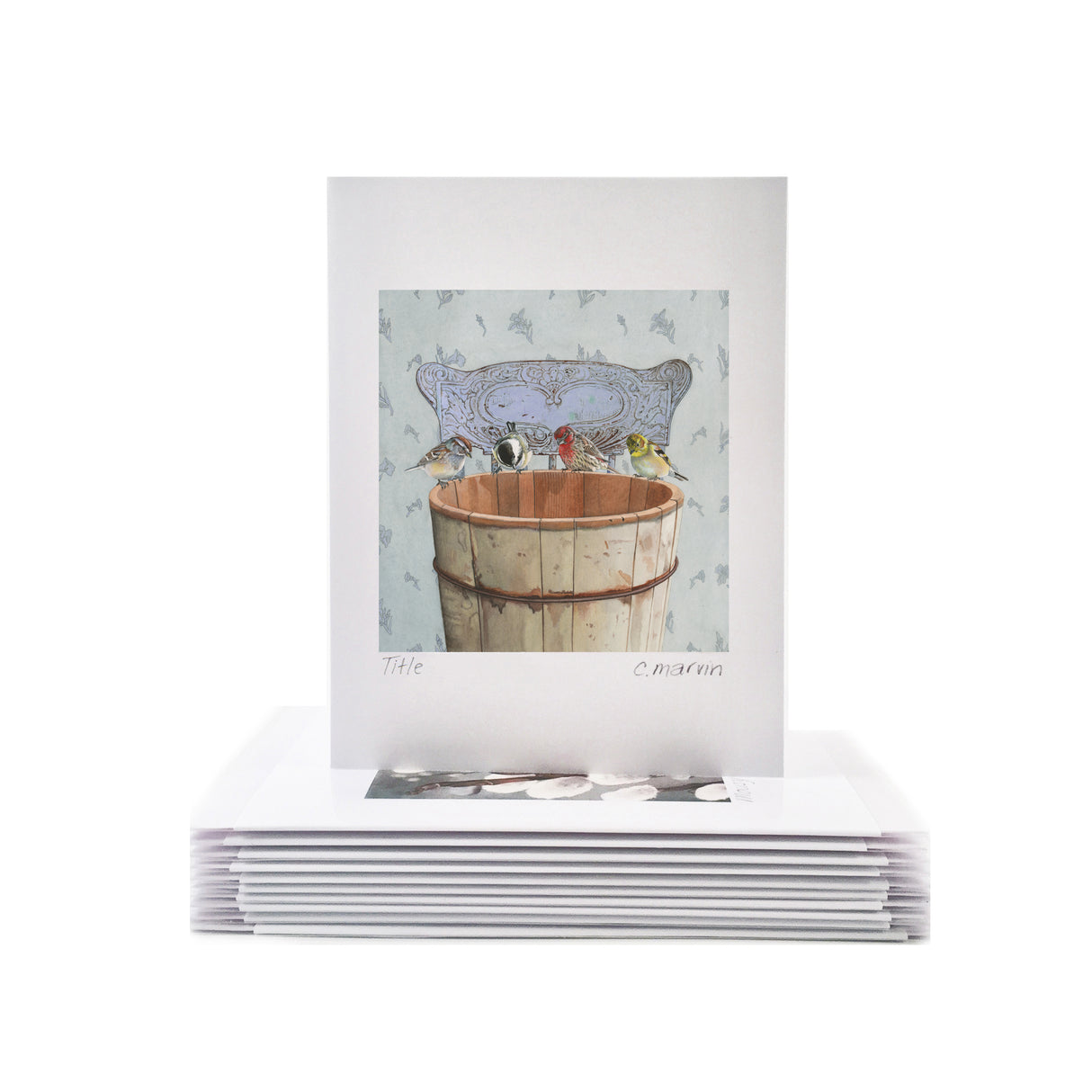 Songbirds Investigate