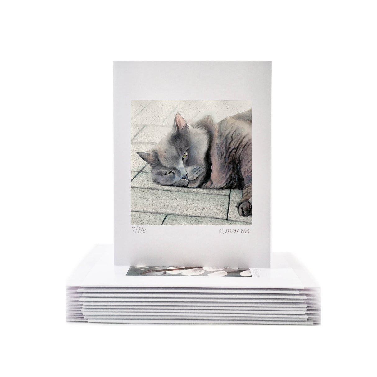 The Cat Collection set of 10