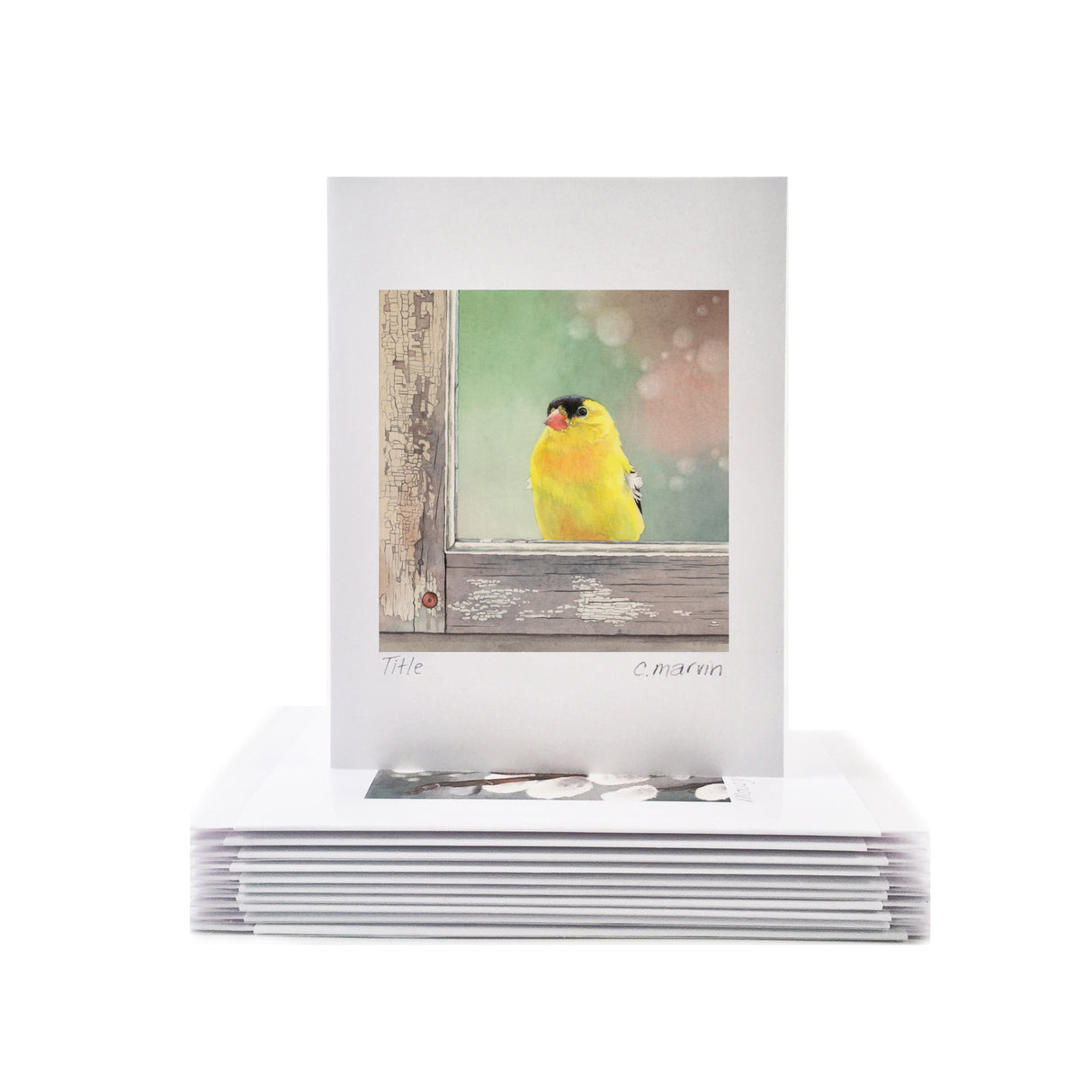 Window Cards set of 10