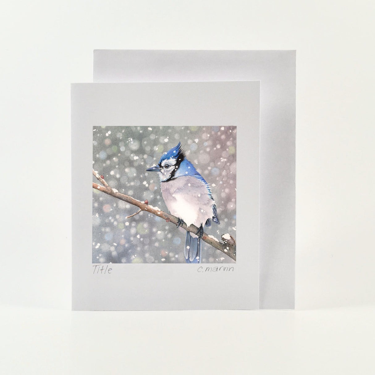 art card of bluejay on a branch on a snowy day