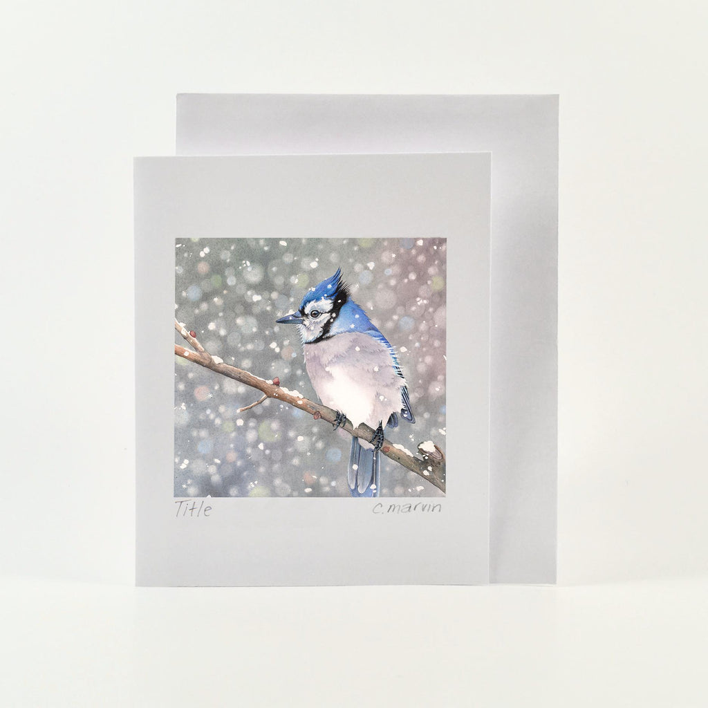 art card of bluejay on a branch on a snowy day