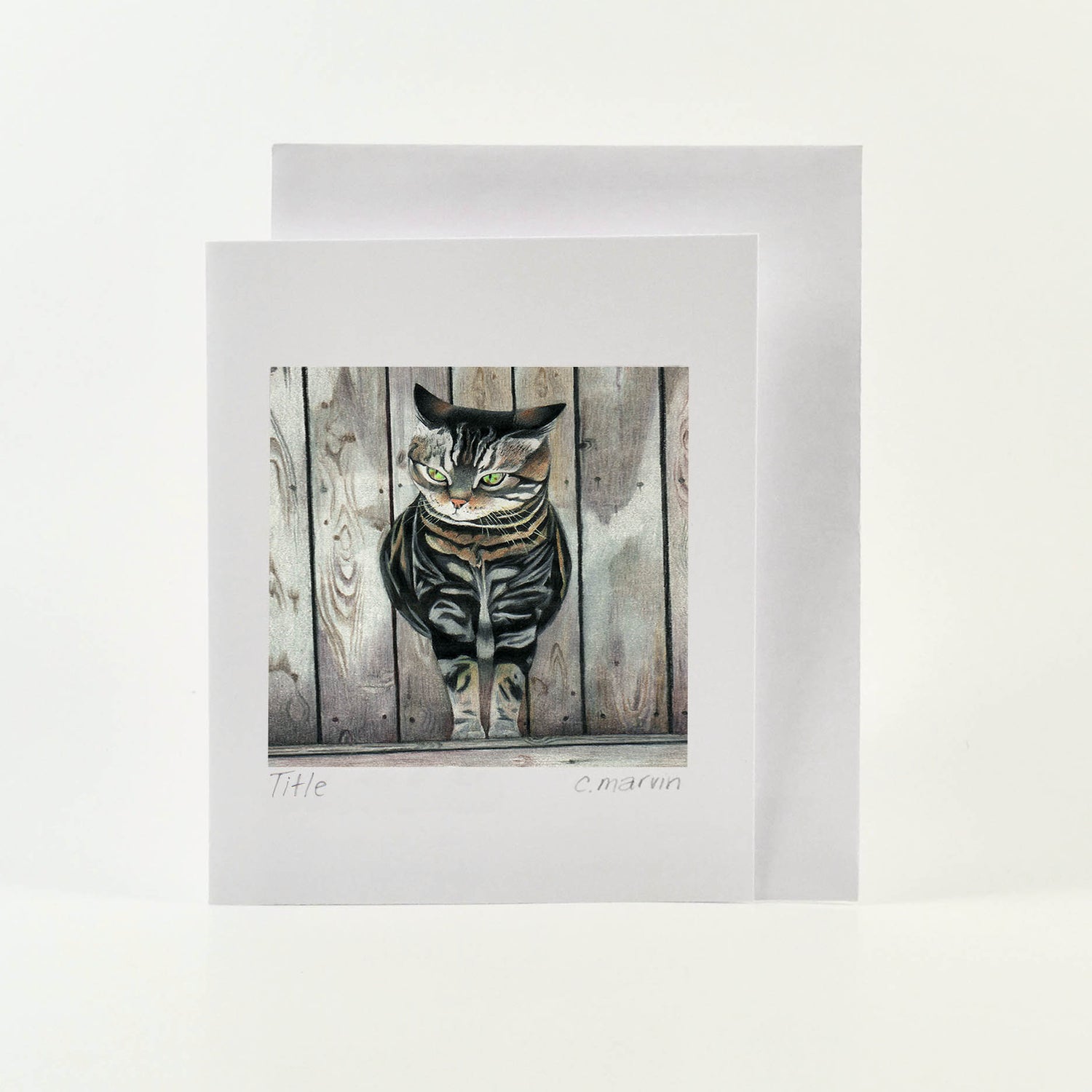 The Cat Collection set of 10