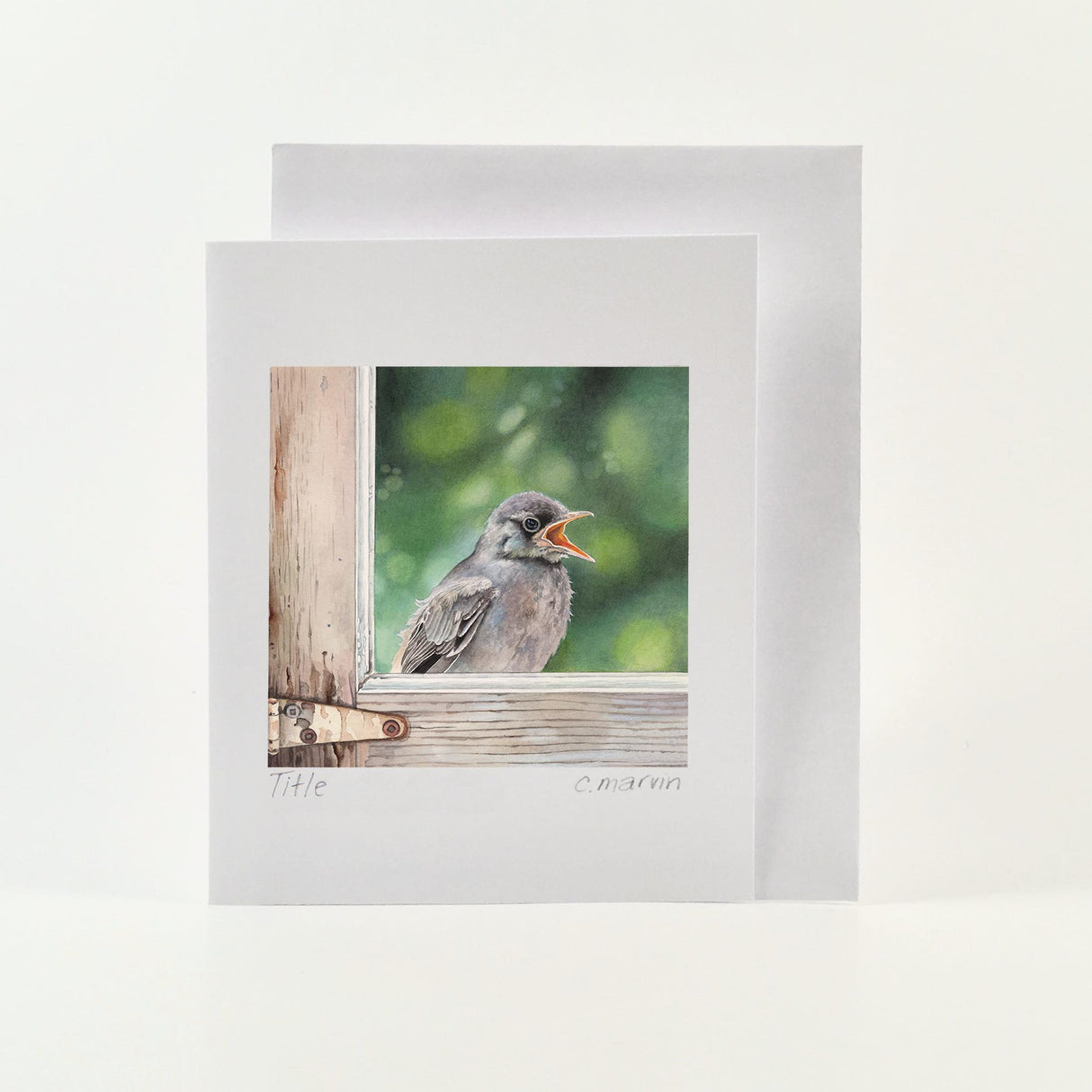 Flycatcher - Wholesale Art Cards