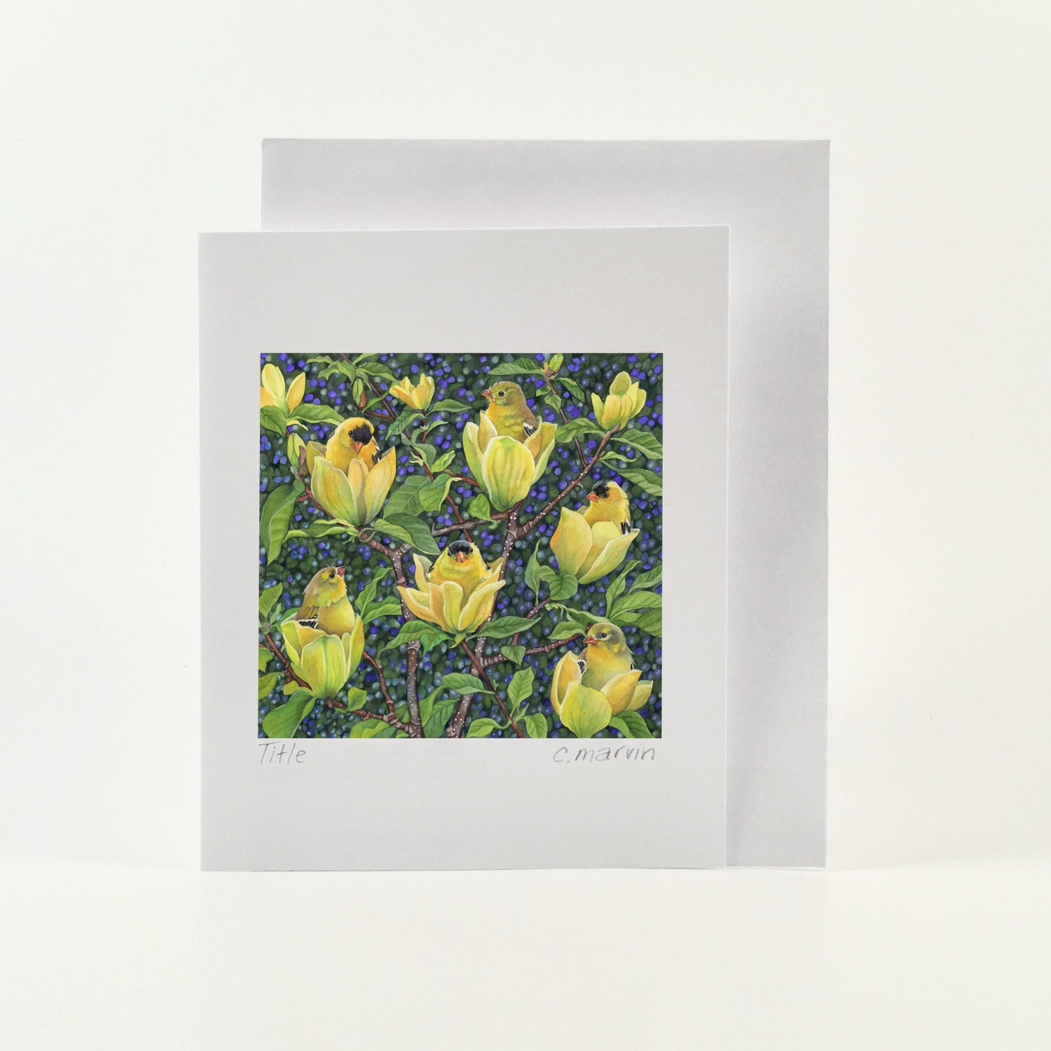 The Bird Collection #1 Art Cards set of 10