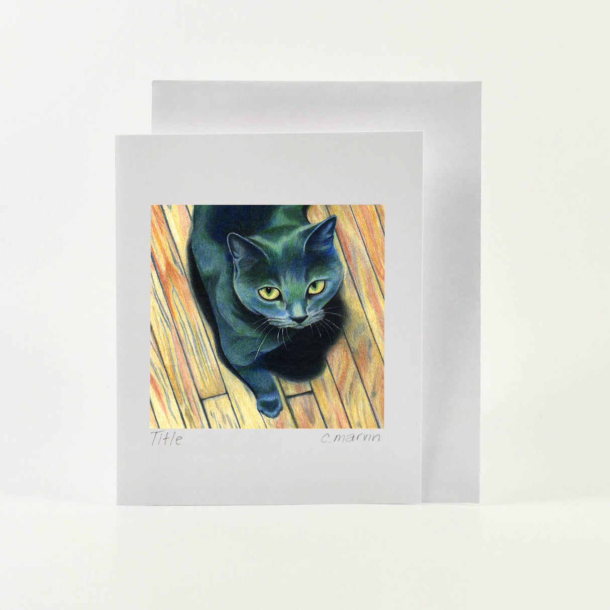 The Cat Collection set of 10