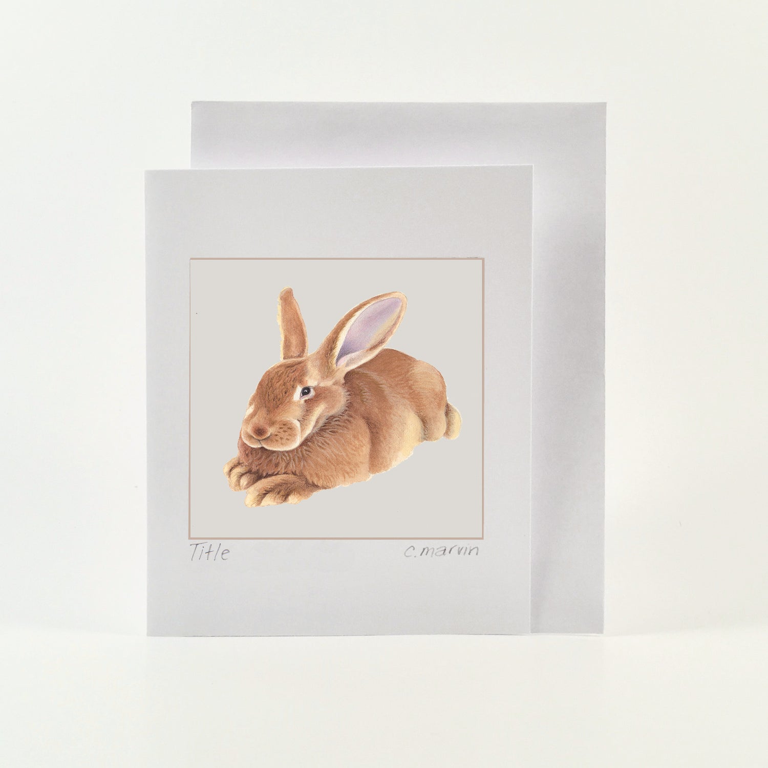 Cheerful Bunnies set of 10