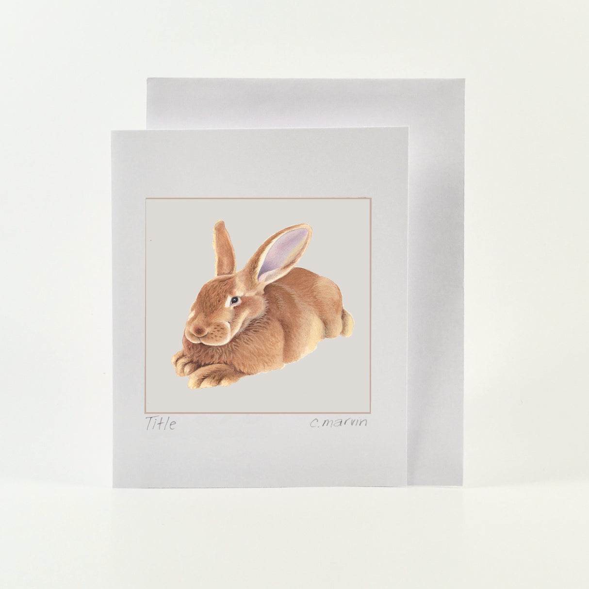 Resting Rabbit - Wholesale Art Cards