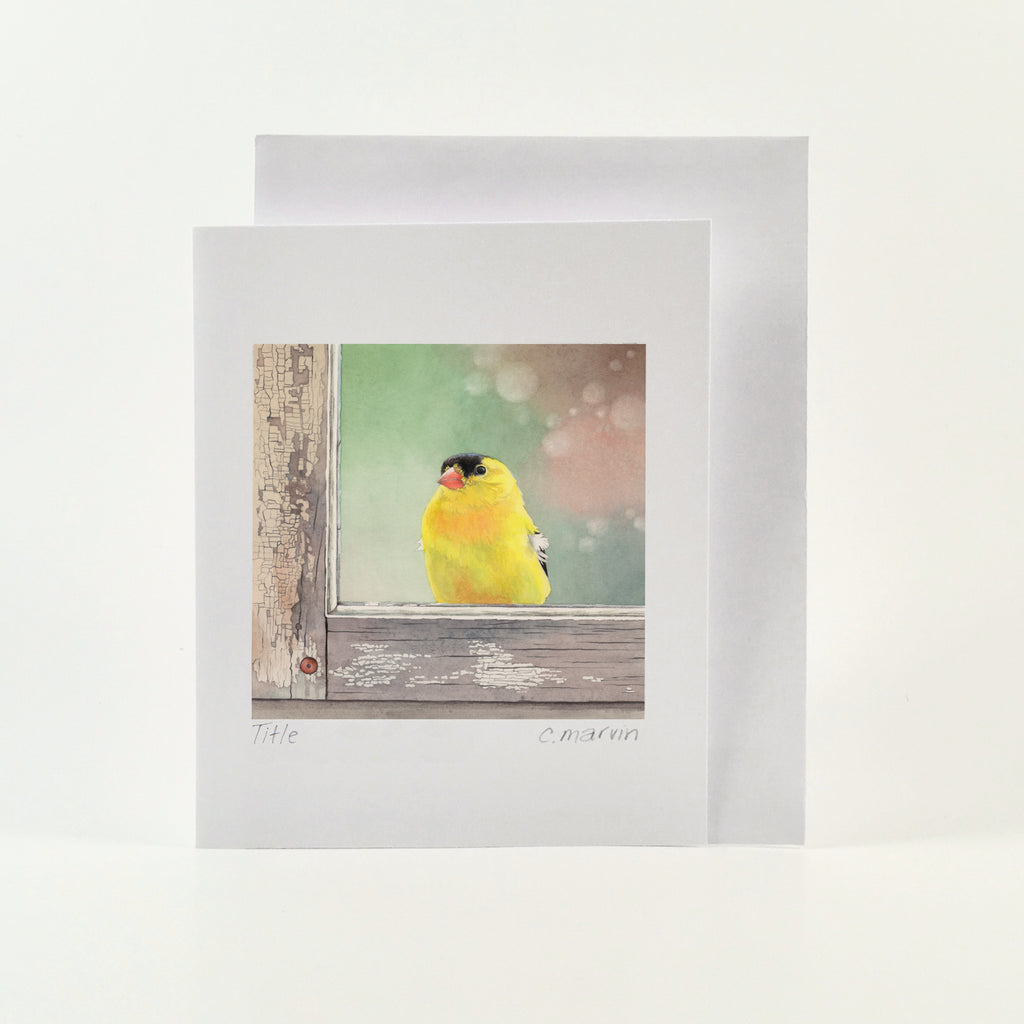 Window Finch - Wholesale Art Cards