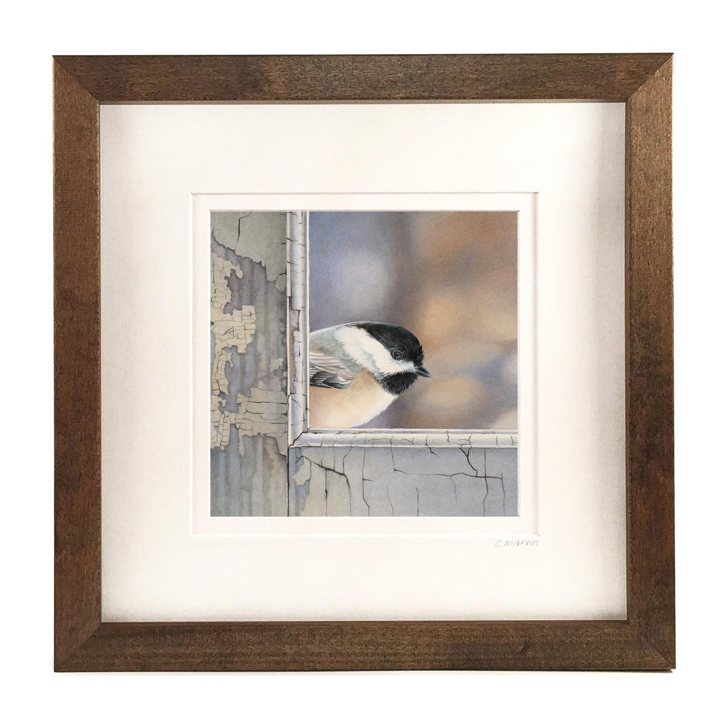 Chickadee Checks In