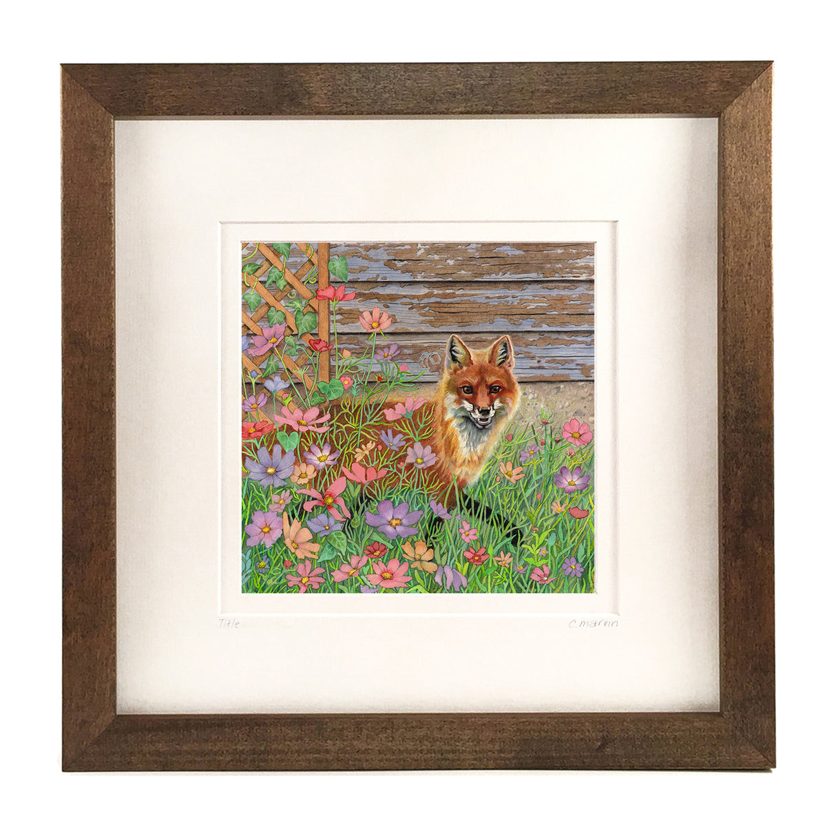 Exploring the Cosmos