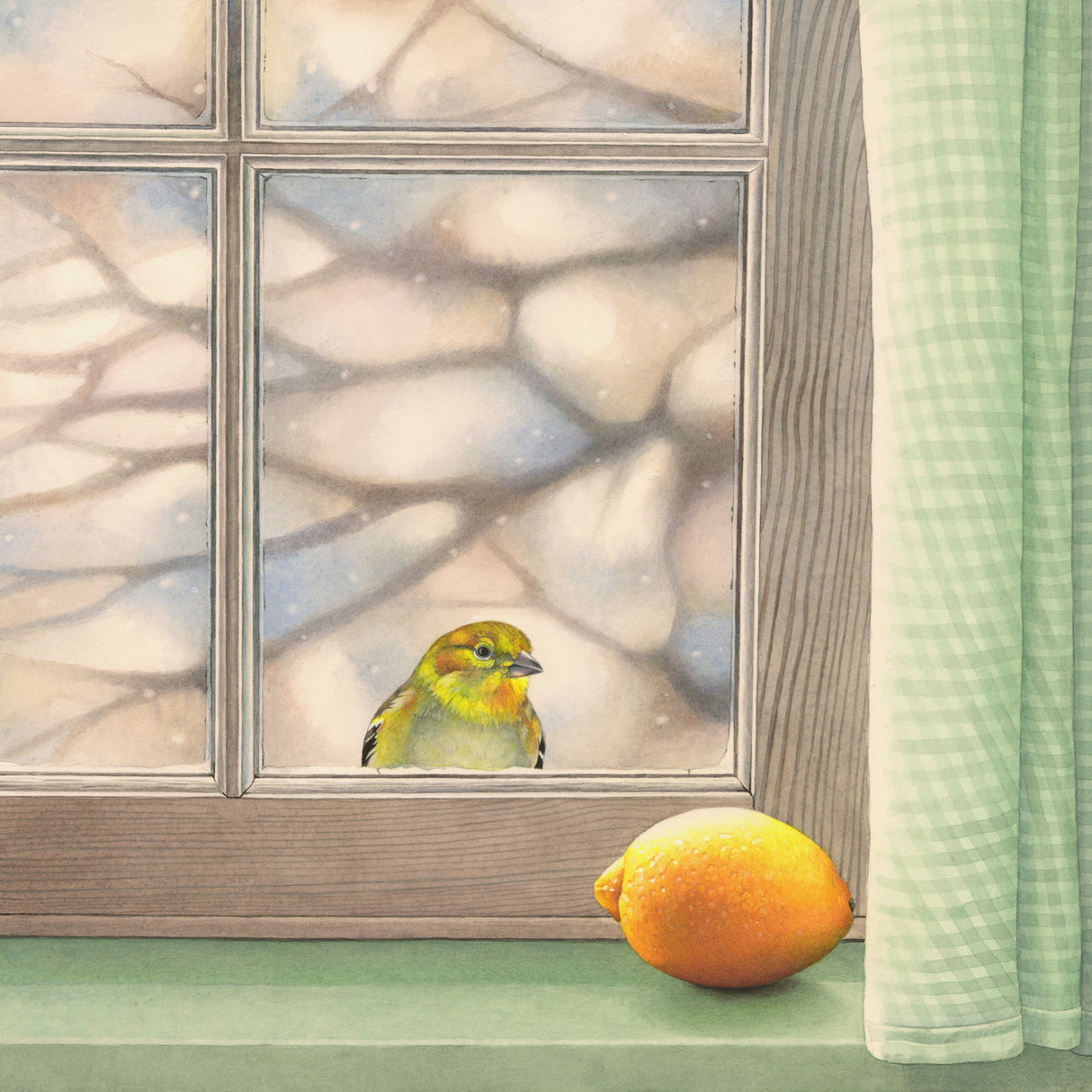 Fellow Yellow - Gallery