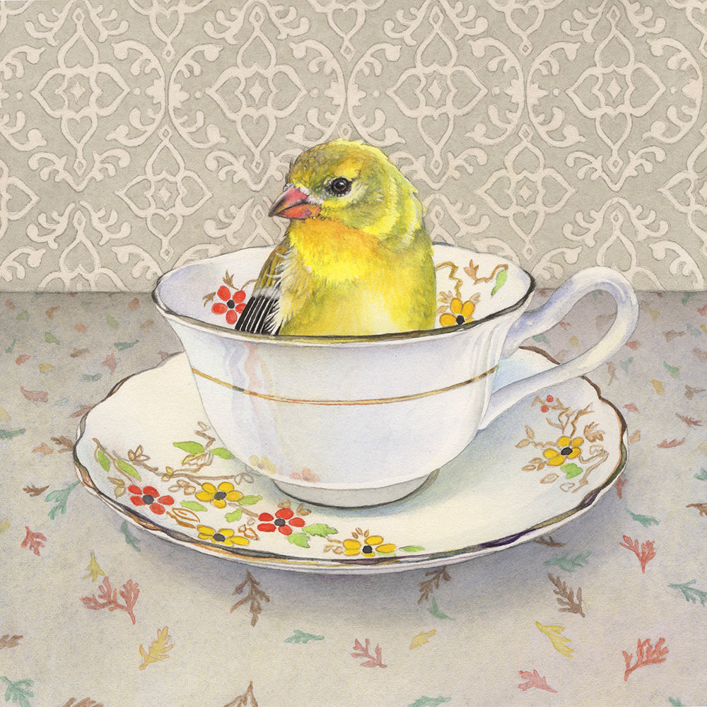 Finch in a Cup