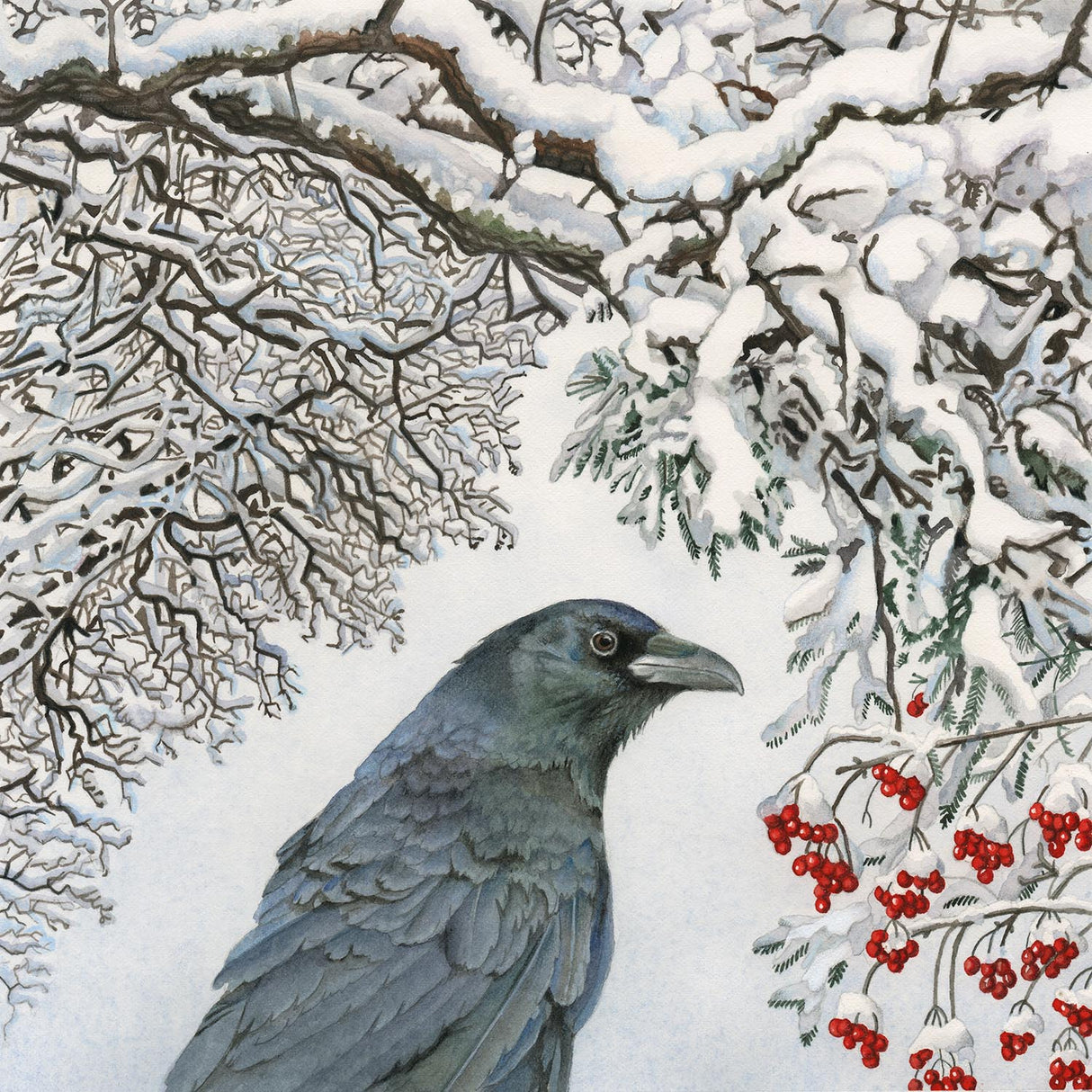 First Snow - Gallery