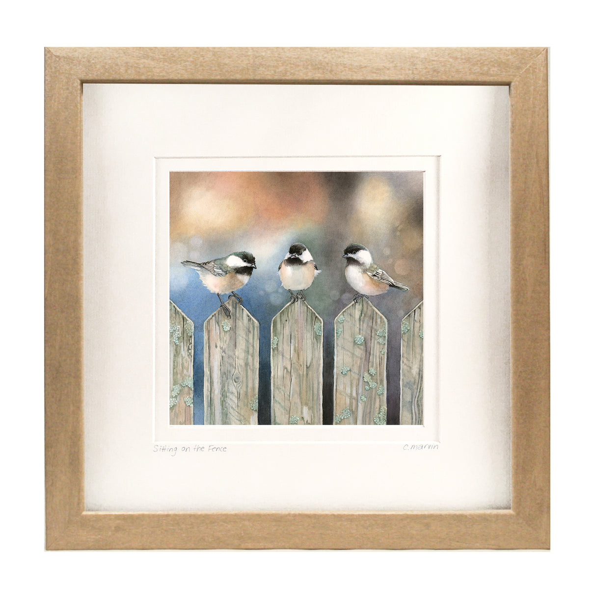 Sitting on the Fence