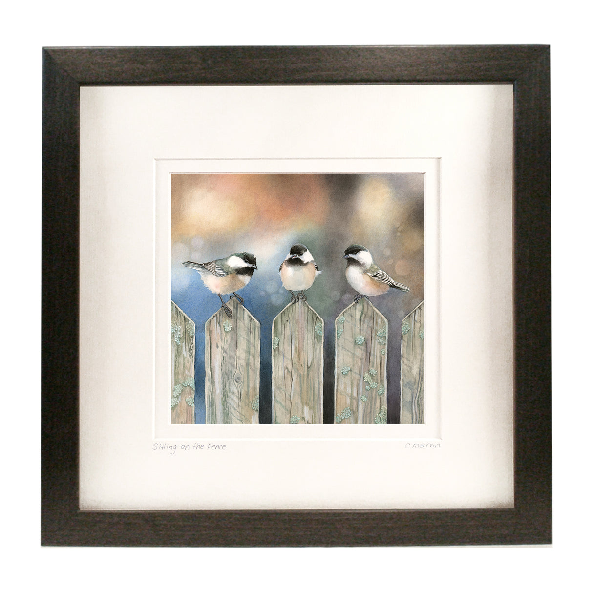 Sitting on the Fence