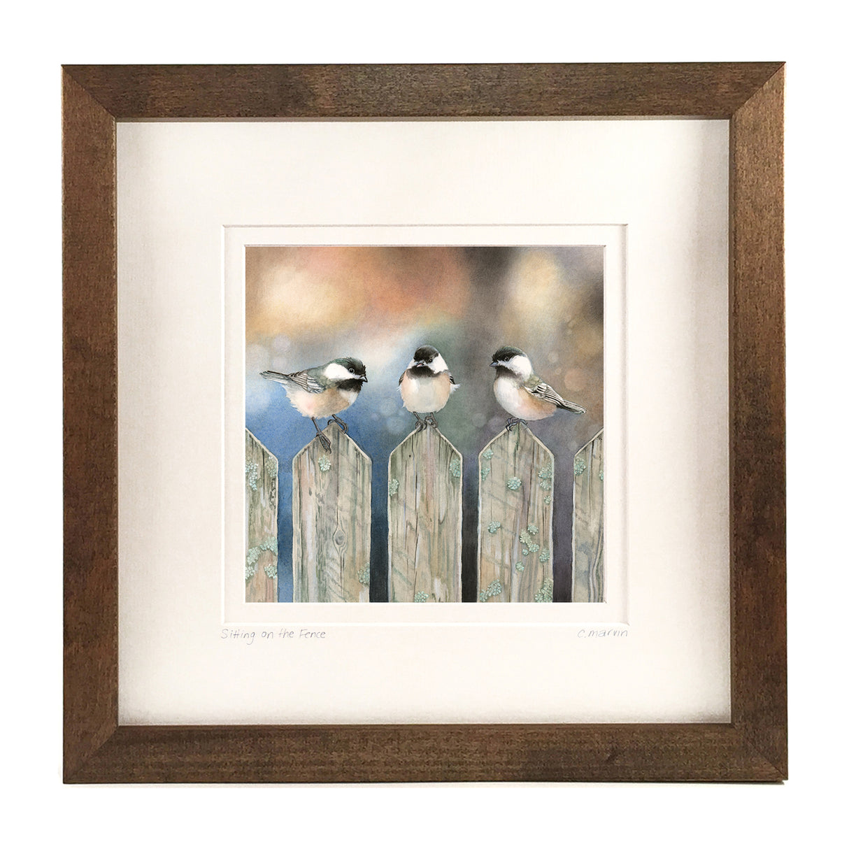 Sitting on the Fence