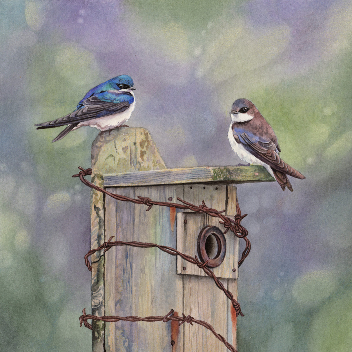 Home Sweet Home - Gallery