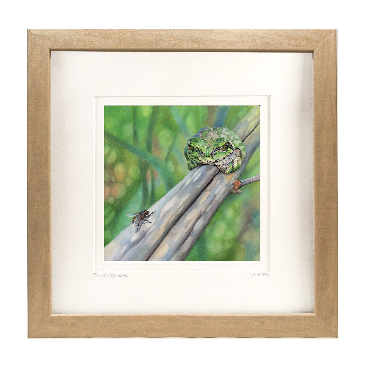 Let Sleepy Frogs Lie