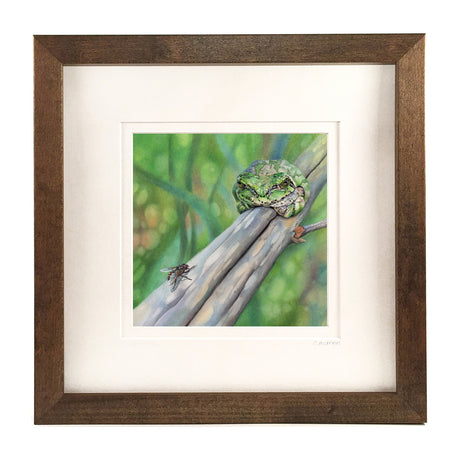 Let Sleepy Frogs Lie