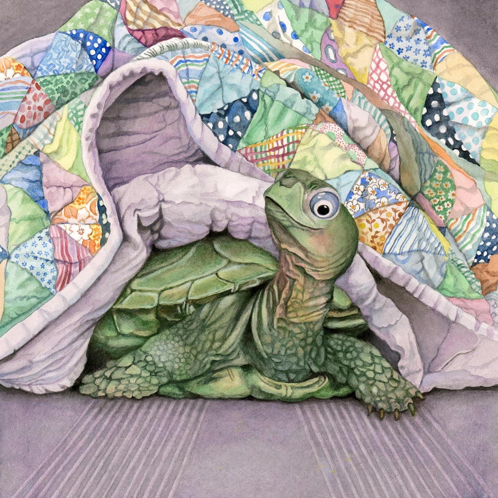 Napping Turtle - Gallery