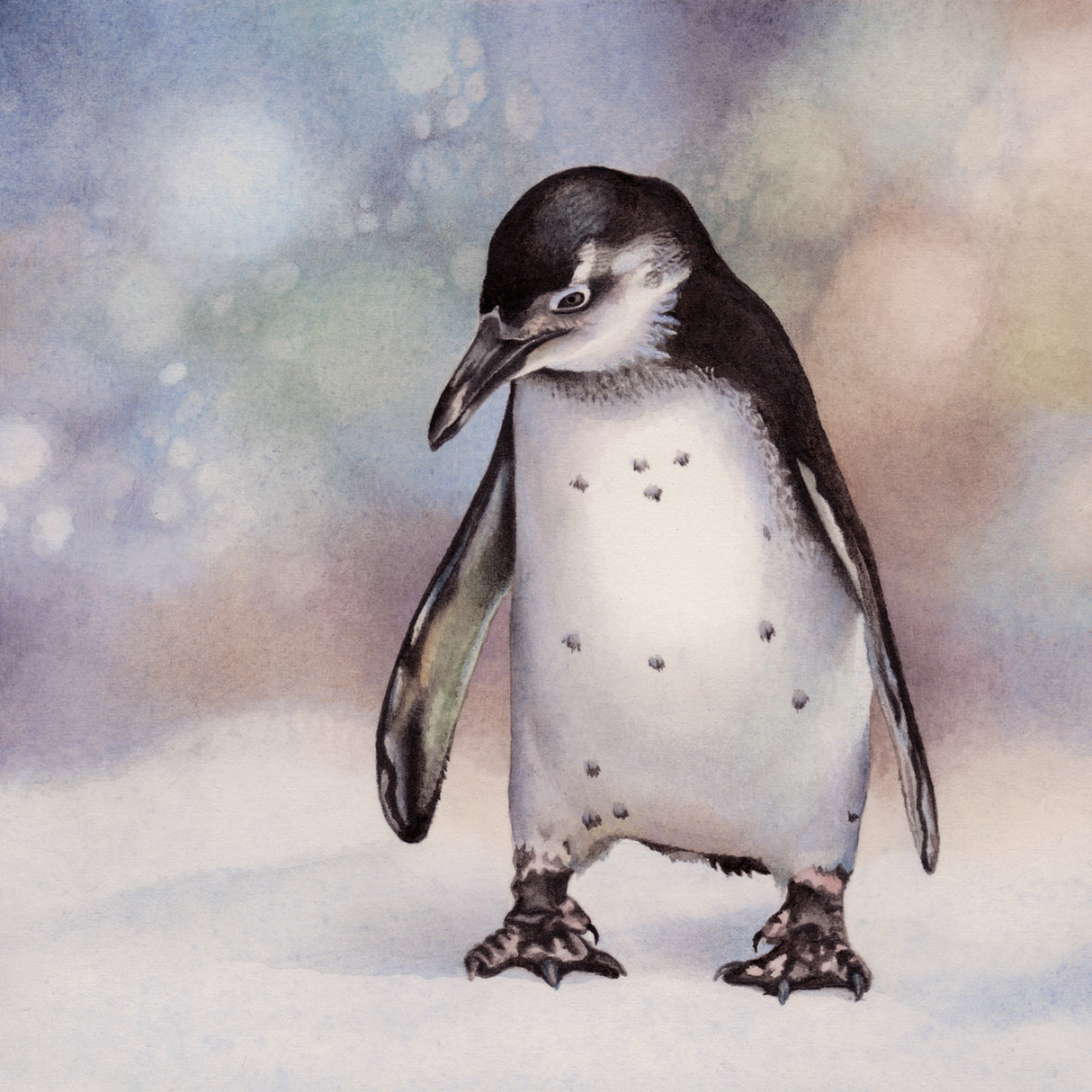Pensive Penguin